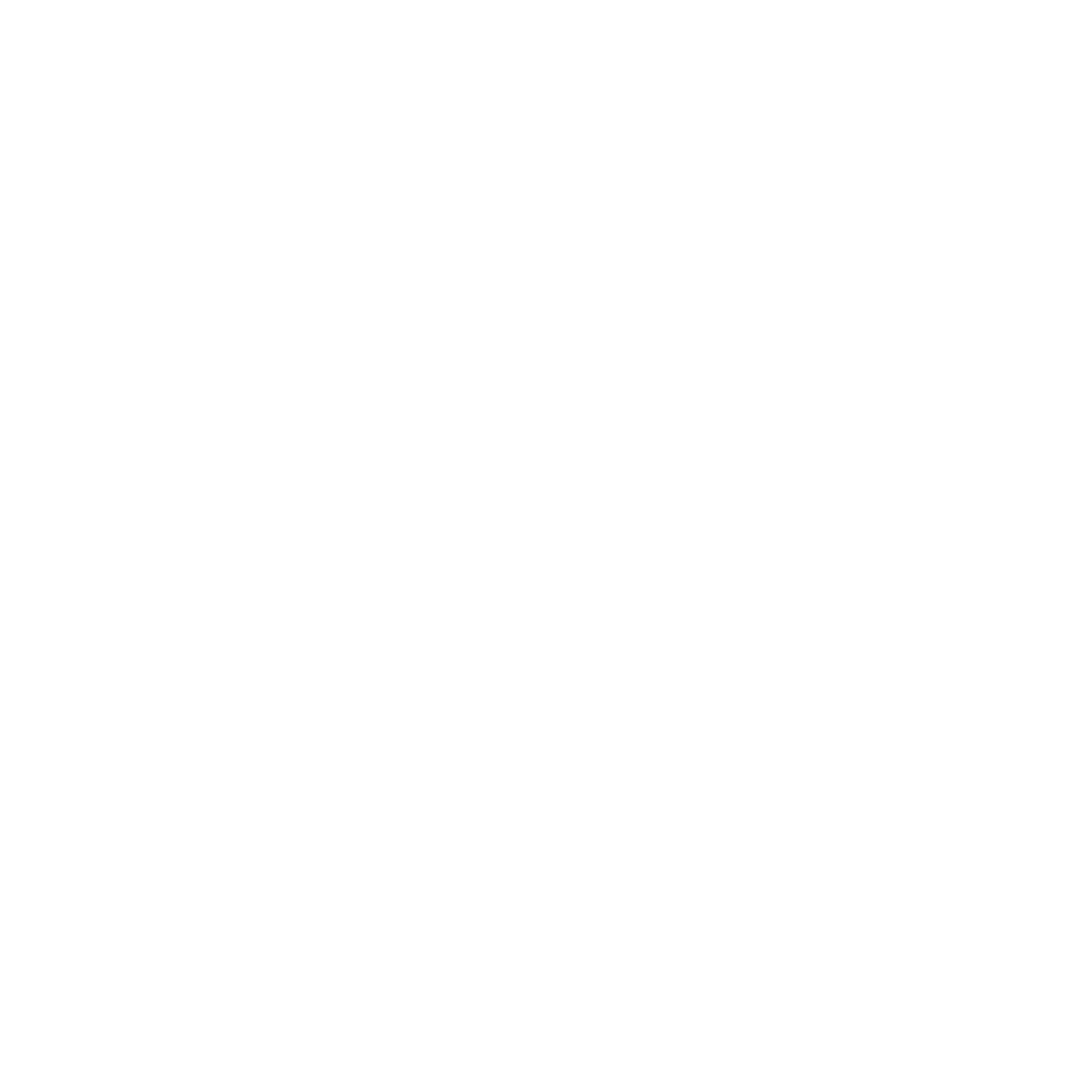 illustrator icon